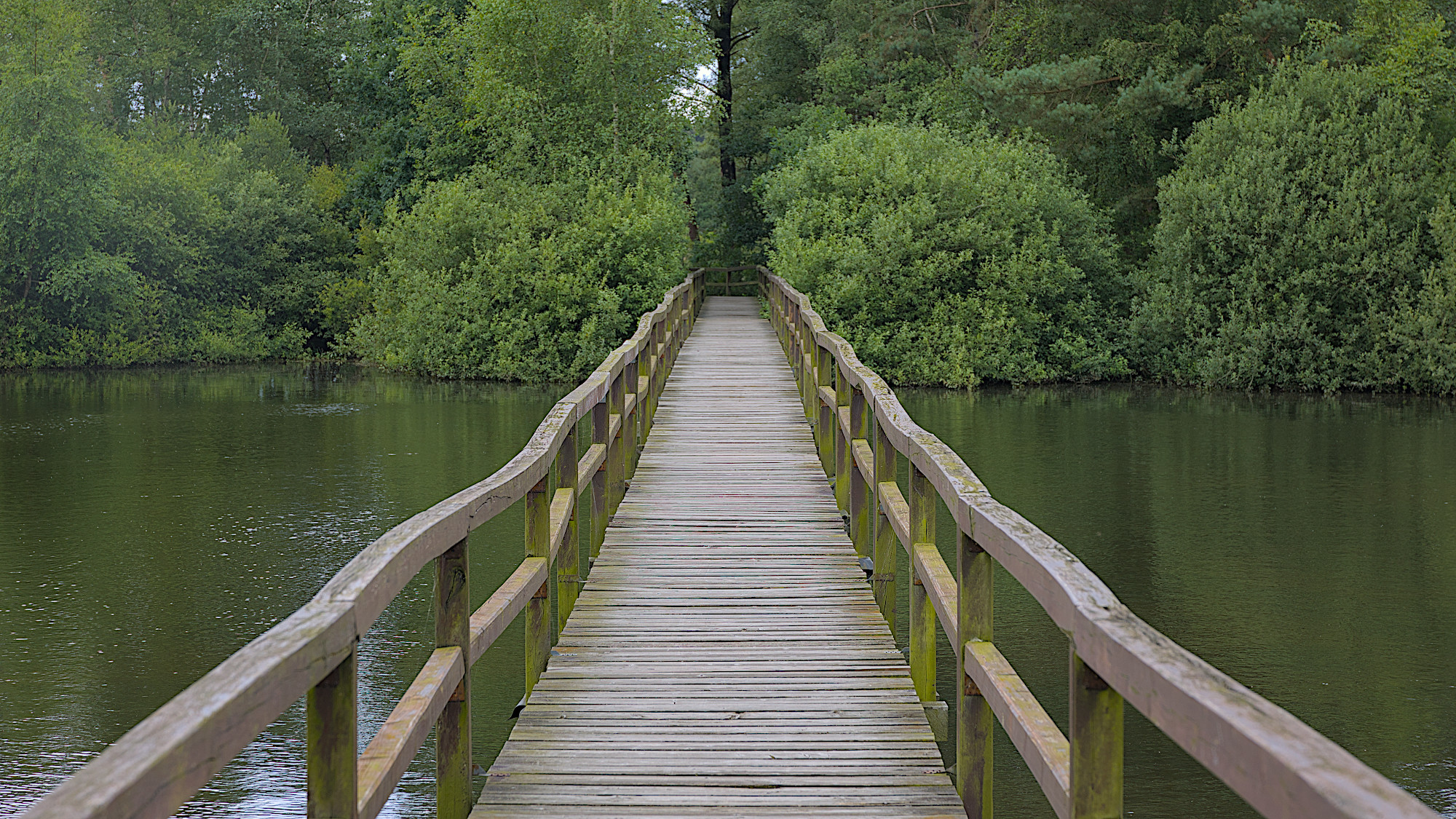 Brücke an der Thülsfelder Talsperre